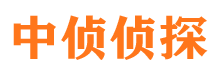 洞口寻人公司